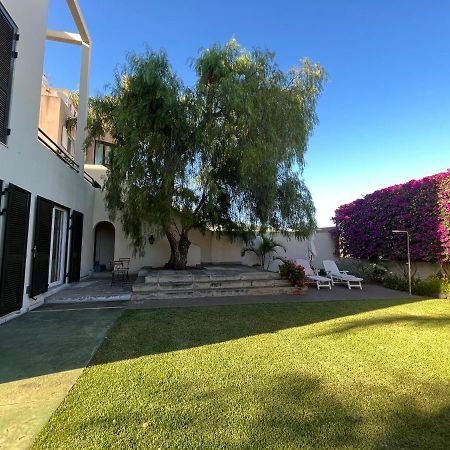Appartement Dream Garden à Santa-Cruz de Ténérife Extérieur photo