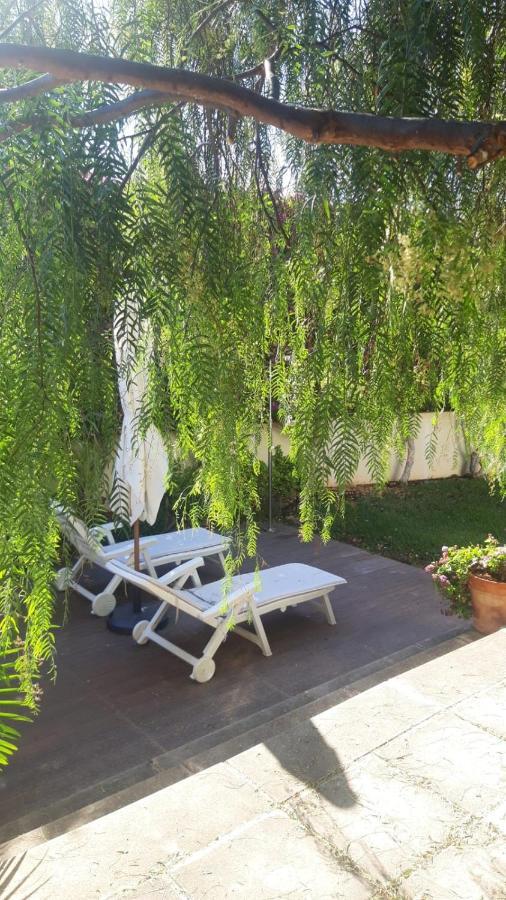 Appartement Dream Garden à Santa-Cruz de Ténérife Extérieur photo