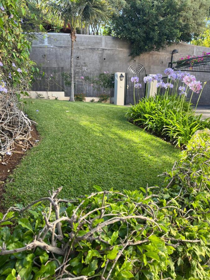Appartement Dream Garden à Santa-Cruz de Ténérife Extérieur photo