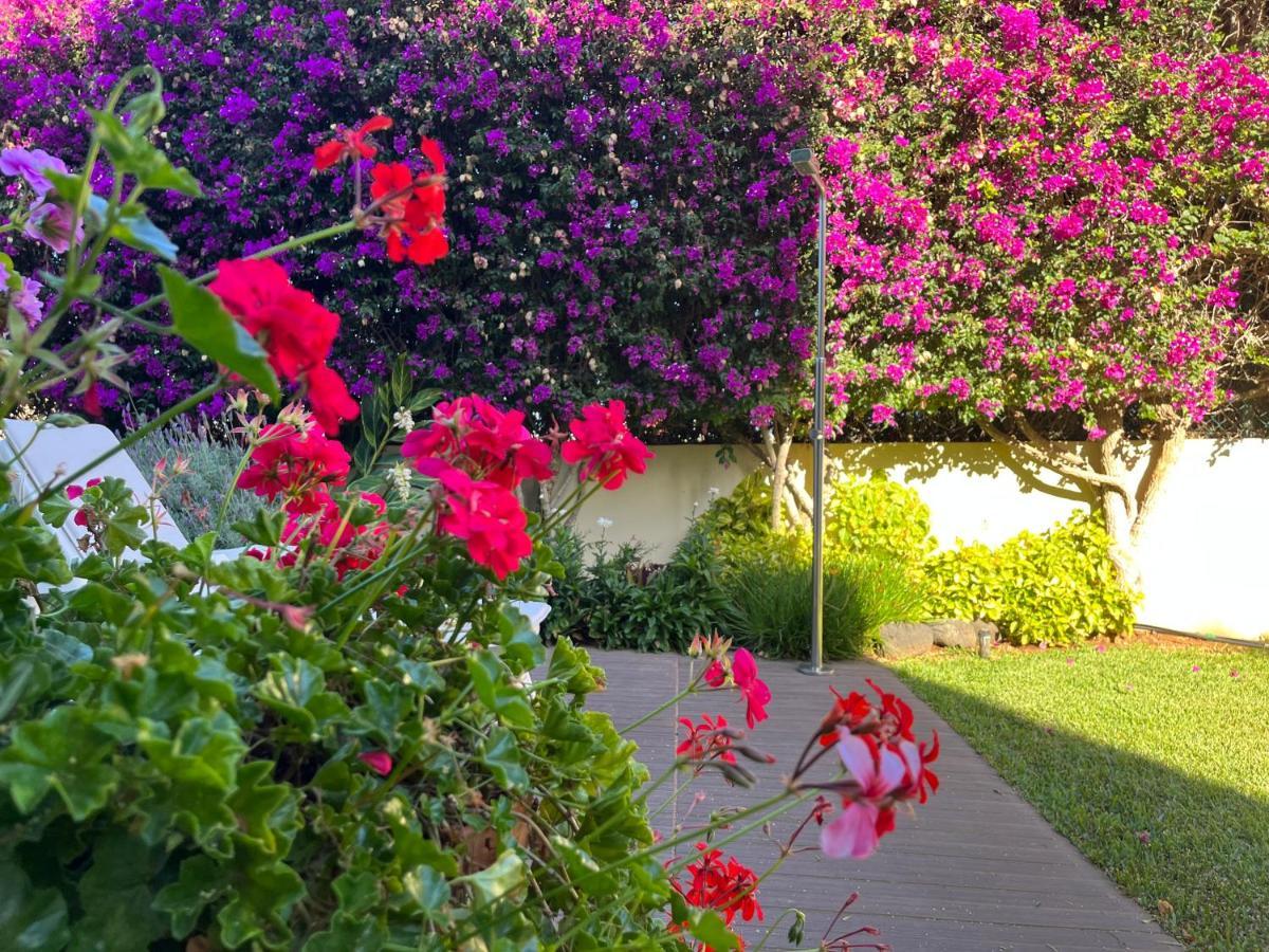 Appartement Dream Garden à Santa-Cruz de Ténérife Extérieur photo