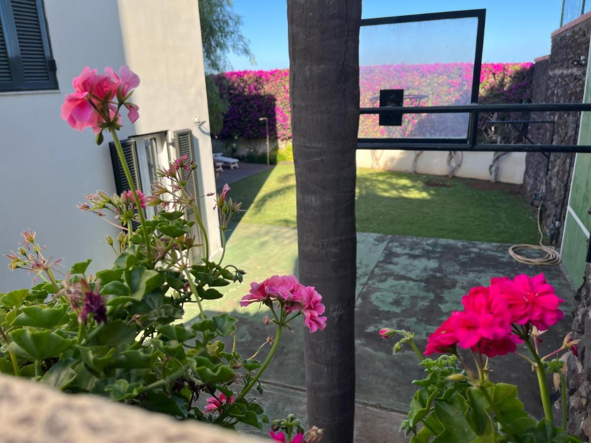 Appartement Dream Garden à Santa-Cruz de Ténérife Extérieur photo