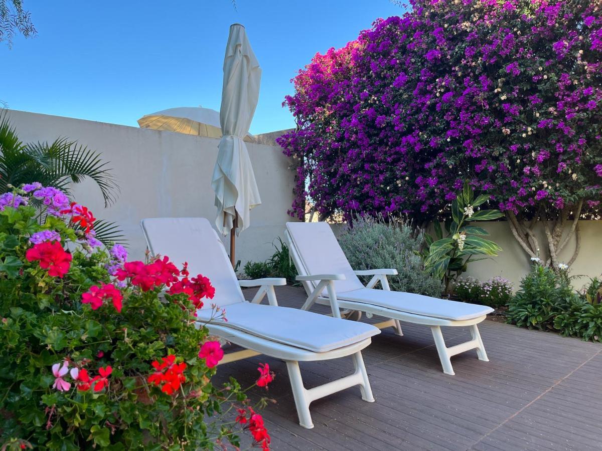Appartement Dream Garden à Santa-Cruz de Ténérife Extérieur photo